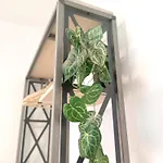 Apartment Cordobes *