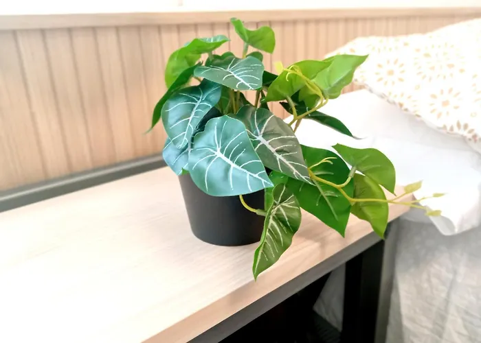 Cordobes * קורדובה