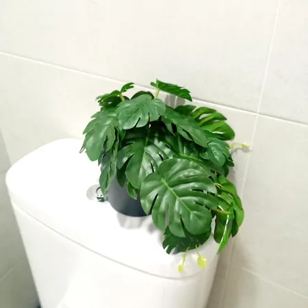 Cordobes قرطبة