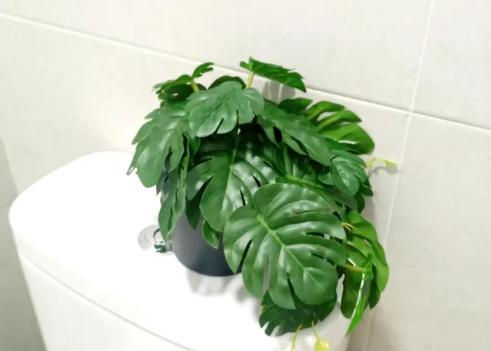 Cordobes 科爾多瓦